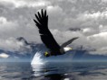 /album/galeria-de-fotos-wallpapers/eagle-3d-jpg/