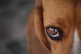 /album/galeria-de-fotos-wallpapers2/a47-jpg/