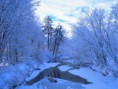 /album/wallpapers-paisagem/inverno-jpg/