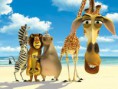 /album/wallpapers-infantil/madagascar-2536-jpg/